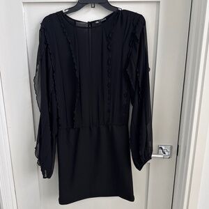 Zara sheer Black Mini Dress